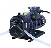 FT600-4J手輪調(diào)速防爆電機蠕動泵