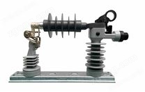 摘掛式封閉避雷器