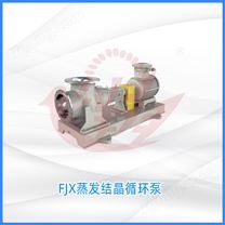 FJX蒸發(fā)結(jié)晶循環(huán)泵