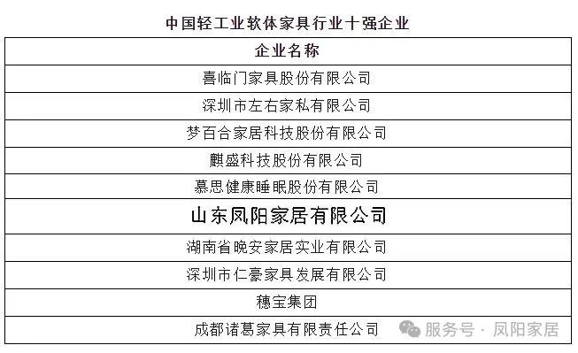 凤阳家居荣膺中国轻工业软体家具行业十强！实力领航以“向新力”锻造软体家具新标杆(图1)