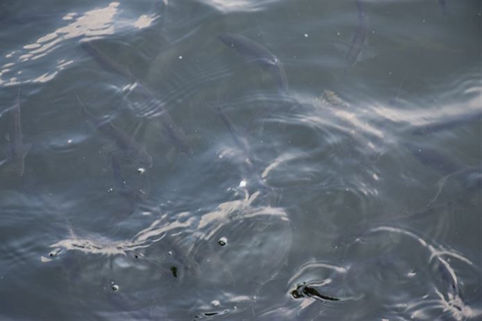 贵州省水投长顺水务有限公司正式揭牌